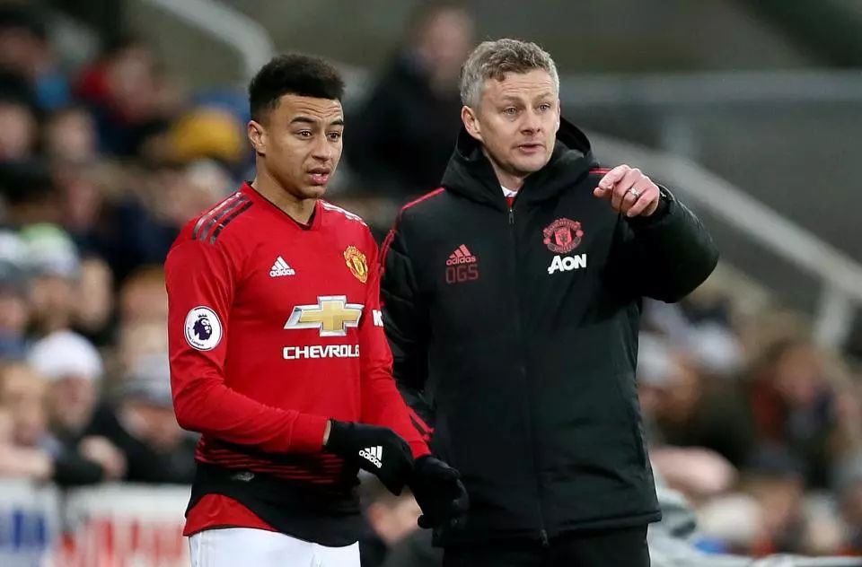 因为许多非 因为许多非